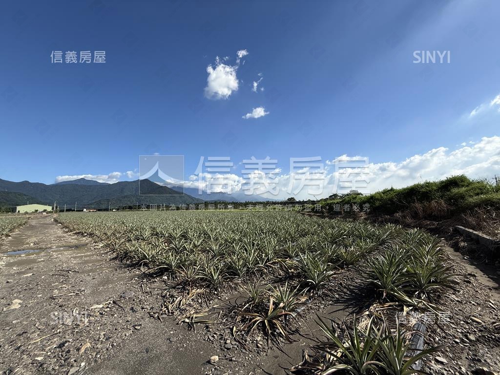 高樹新泰山段漂亮農地房屋室內格局與周邊環境