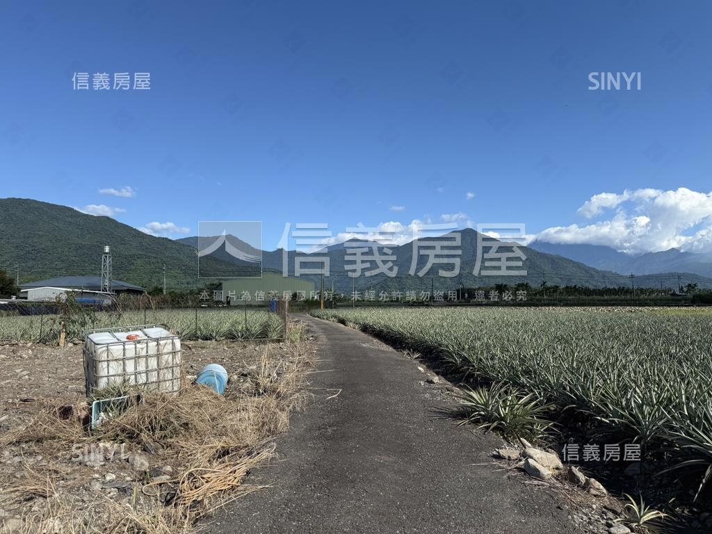高樹新泰山段漂亮農地房屋室內格局與周邊環境