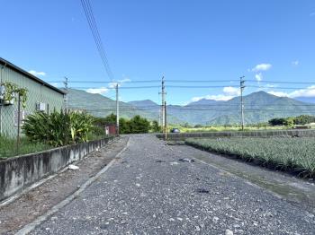 高樹新泰山段漂亮農地