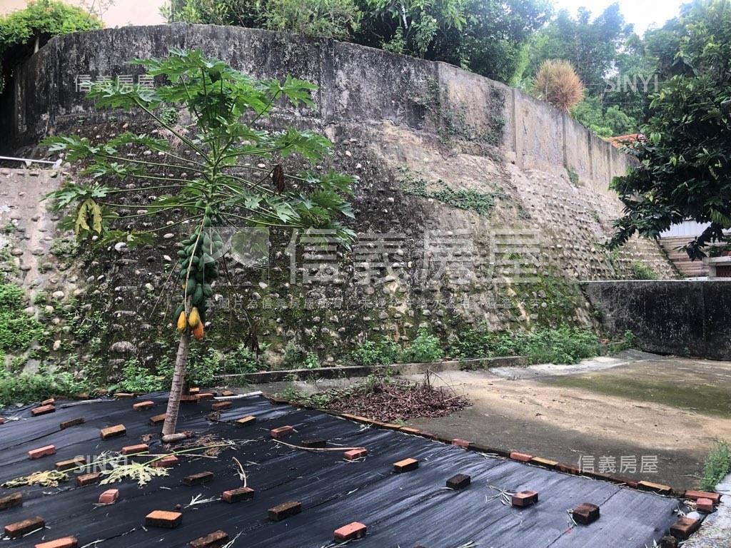 翠湖山莊土地百坪別墅房屋室內格局與周邊環境