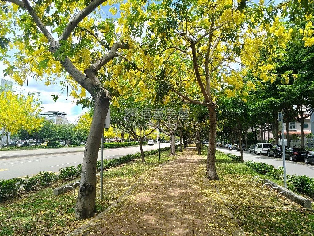 ☆中興大學美三房平車☆房屋室內格局與周邊環境