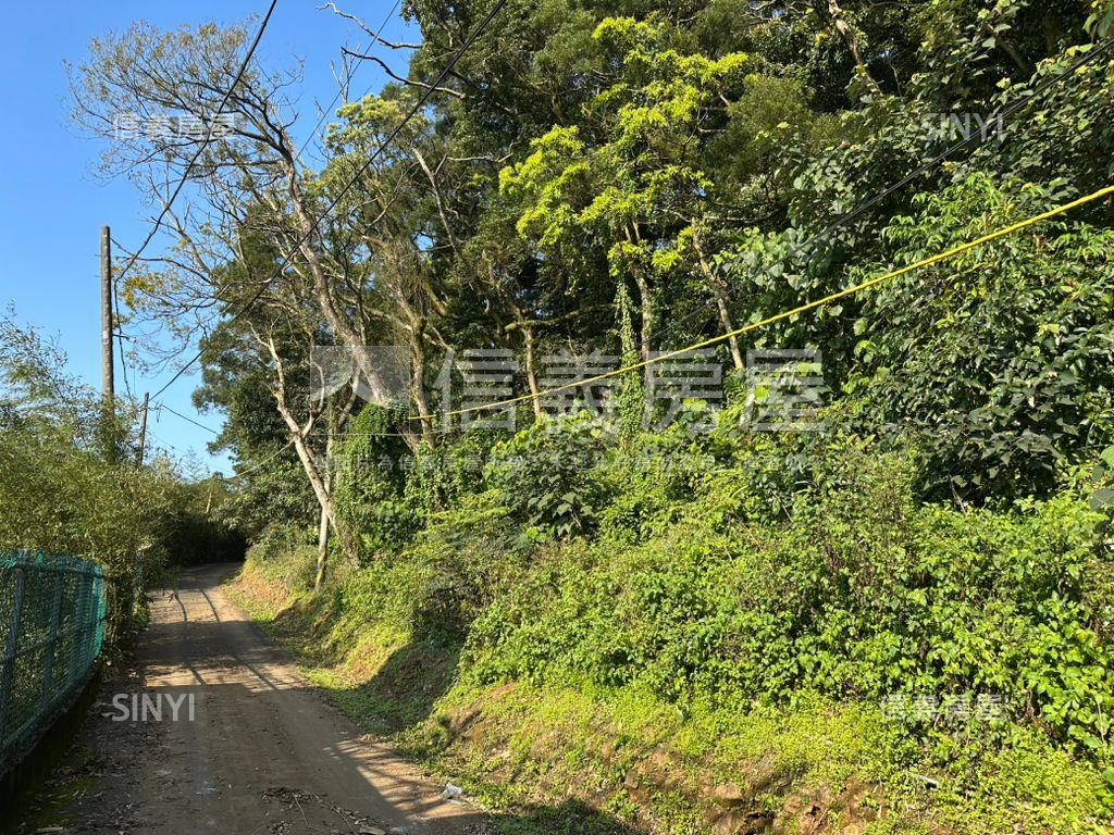 天元段１７６５坪房屋室內格局與周邊環境