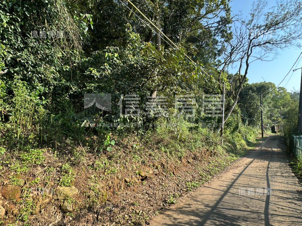 天元段１７６５坪房屋室內格局與周邊環境