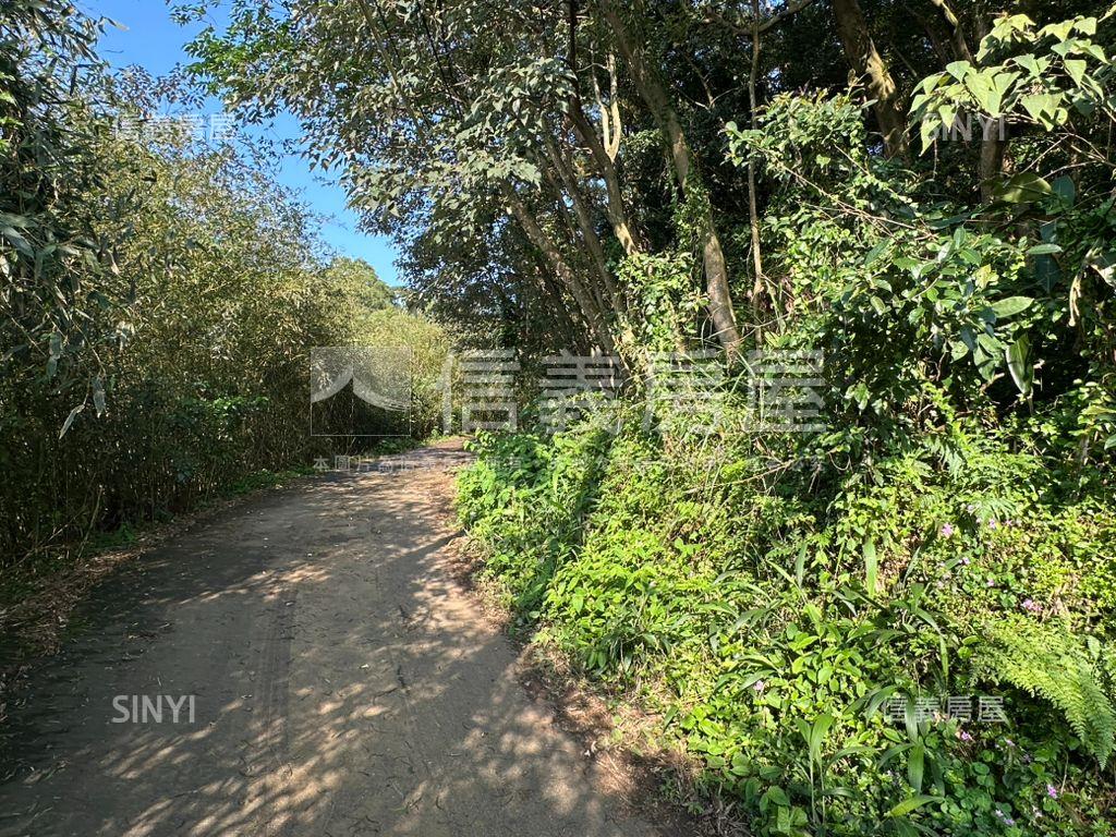 天元段１７６５坪房屋室內格局與周邊環境