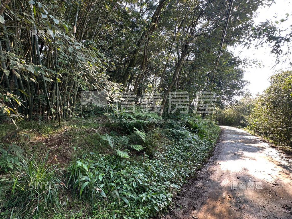 天元段１７６５坪房屋室內格局與周邊環境