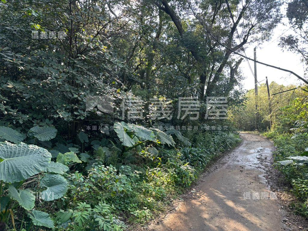 天元段１７６５坪房屋室內格局與周邊環境