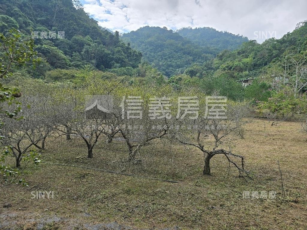 南投養身鳳鳴農舍房屋室內格局與周邊環境