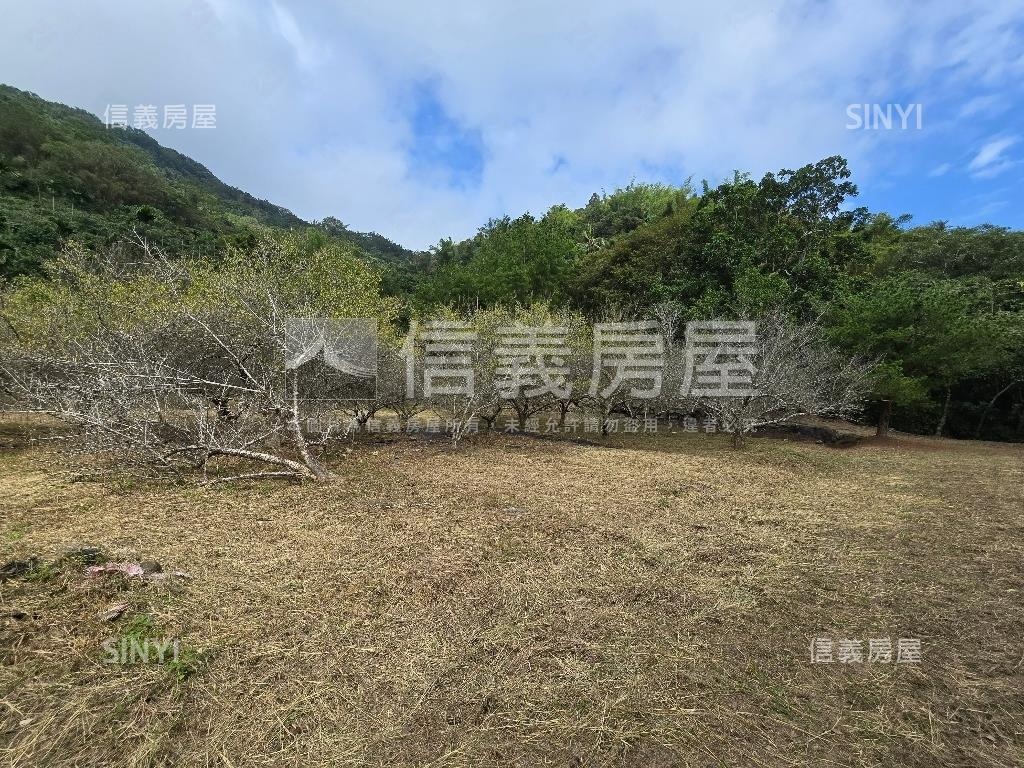 南投養身鳳鳴農舍房屋室內格局與周邊環境