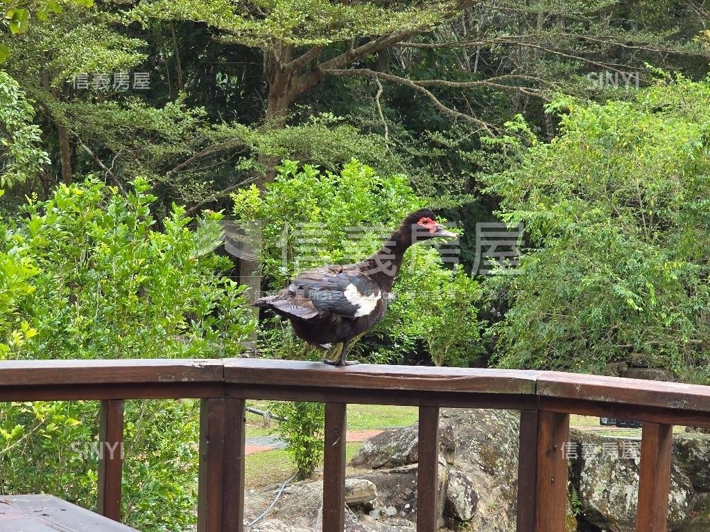 南投養身鳳鳴農舍房屋室內格局與周邊環境