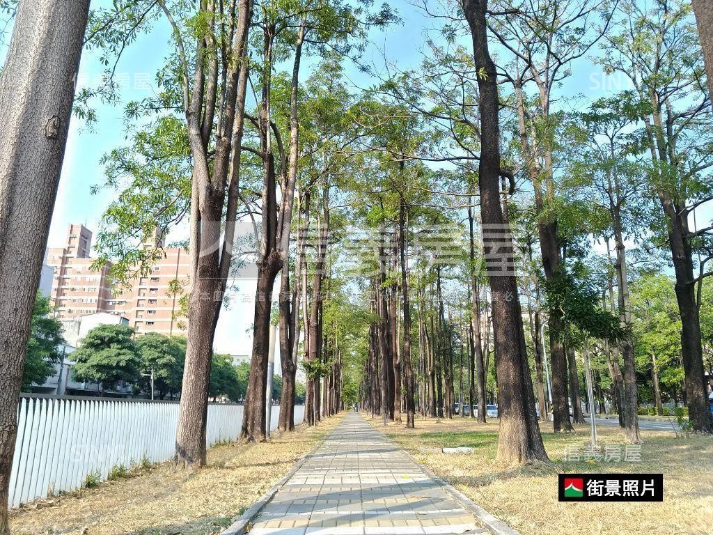 專任興大園道第一排美４房房屋室內格局與周邊環境