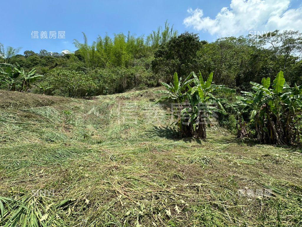 台中太平農牧土地房屋室內格局與周邊環境