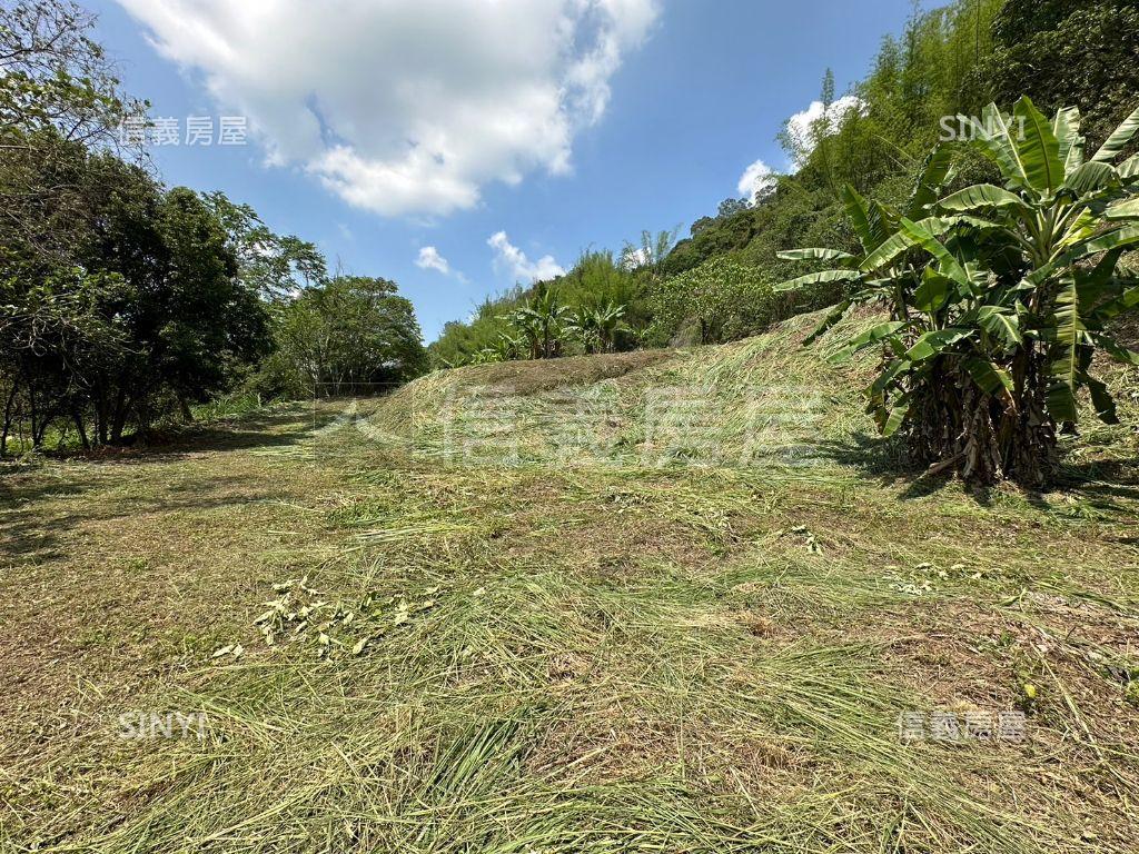 台中太平農牧土地房屋室內格局與周邊環境