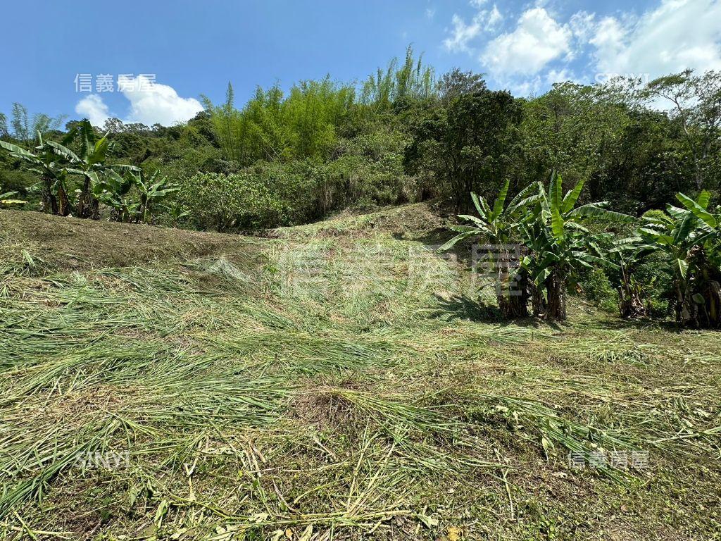 台中太平農牧土地房屋室內格局與周邊環境