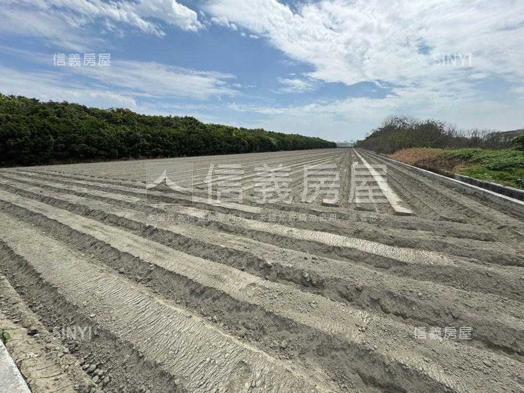 雲林褒忠農地房屋室內格局與周邊環境