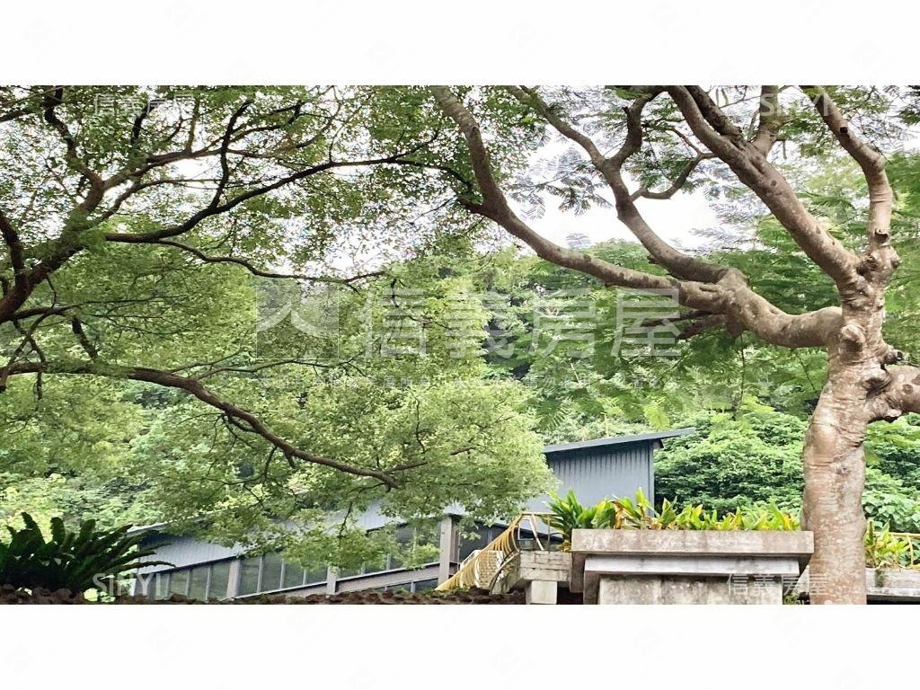 天母土地＋有權狀溫室房屋室內格局與周邊環境