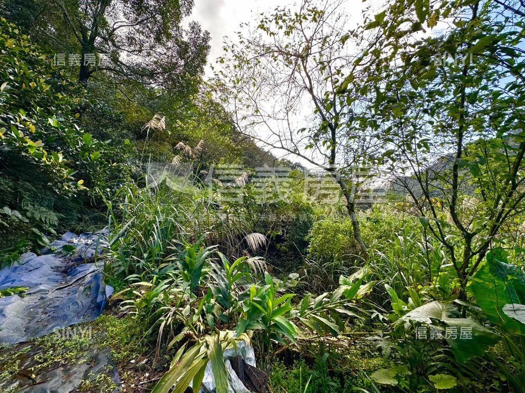 姜子寮公園旁土地房屋室內格局與周邊環境