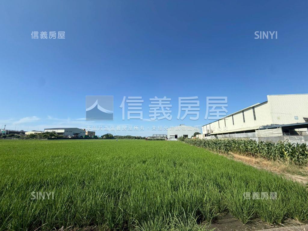 竹南大坪數美農地臨路房屋室內格局與周邊環境