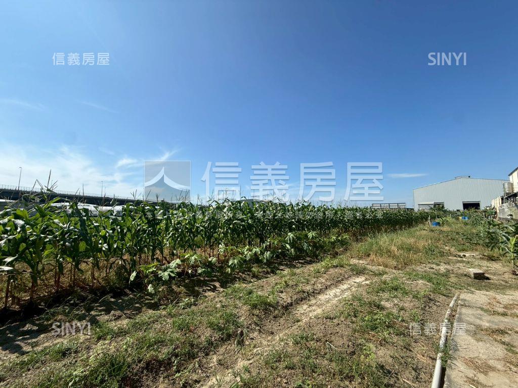 竹南大坪數美農地臨路房屋室內格局與周邊環境