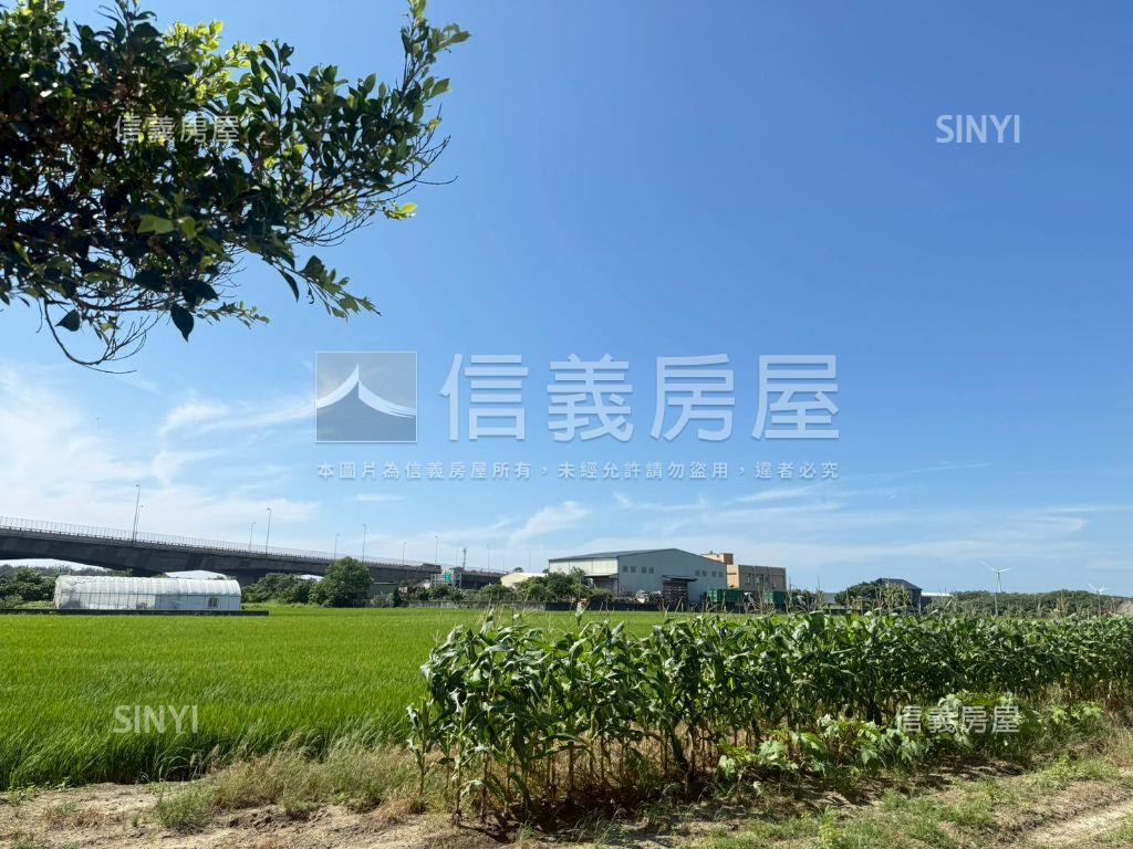 竹南大坪數美農地臨路房屋室內格局與周邊環境