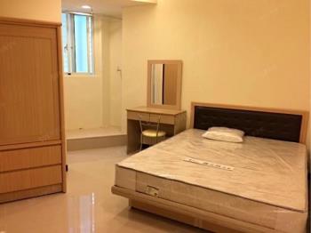 爆發金雞母＄＄＄