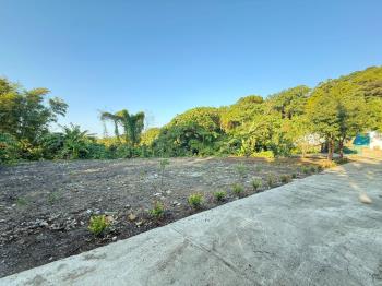 八里自然養生地