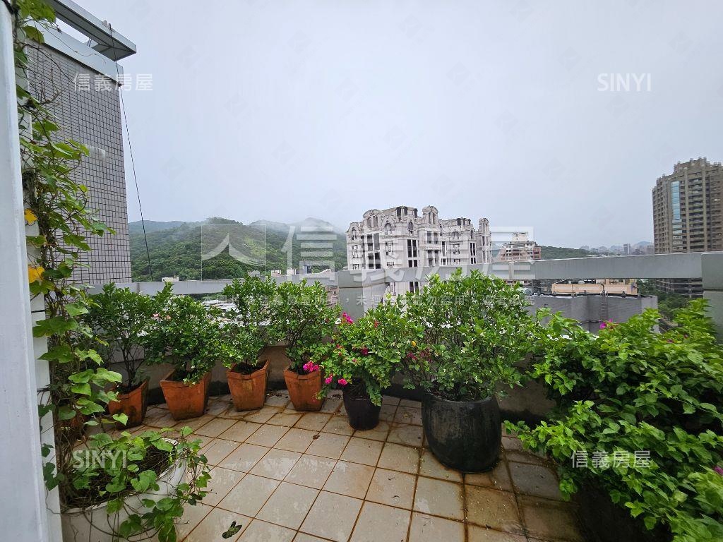 獨賣捷運辦公高樓美景露台房屋室內格局與周邊環境