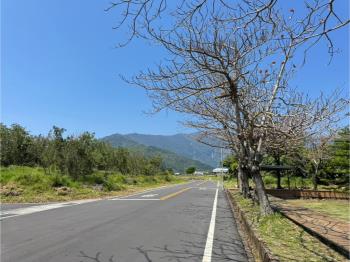 台東池上土地