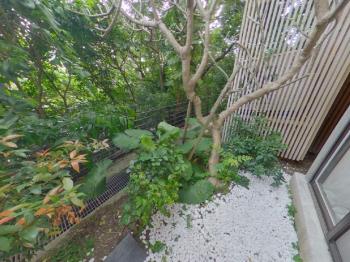 許你一個有院子的家！