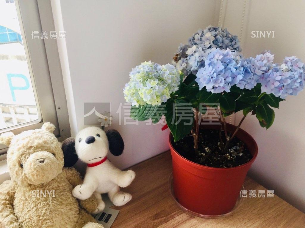 台北市南港區獨家 稀有晴之初 總價18萬 立即了解更多資訊