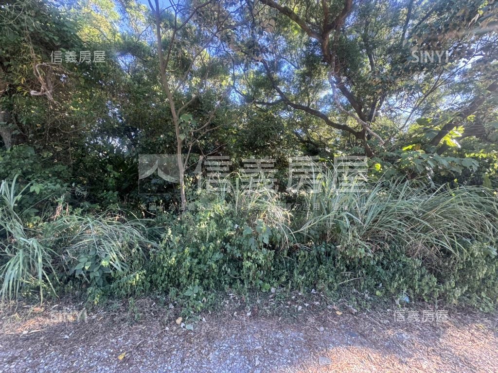 下圭柔山臨路土地房屋室內格局與周邊環境