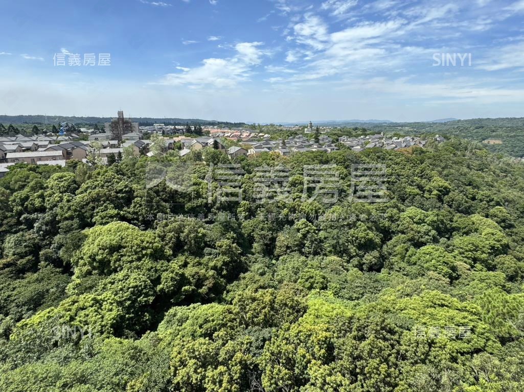 半九十９樓房屋室內格局與周邊環境