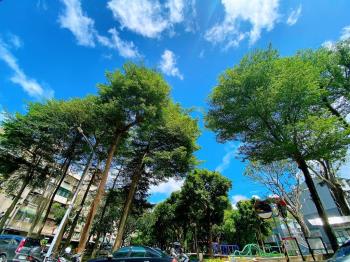 行政中心全方位靈活大空間