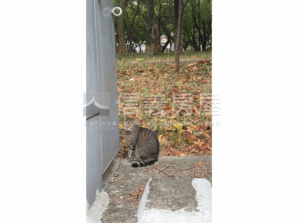 中科全新車庫電梯別墅Ａ房屋室內格局與周邊環境