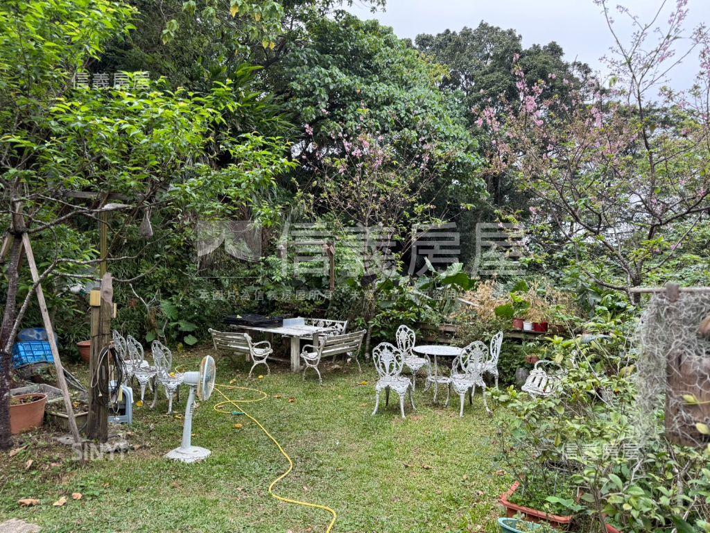 鳳凰城｜稀有電梯四房房屋室內格局與周邊環境