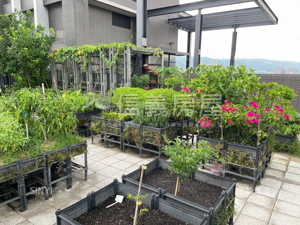 鄉林靜朗高樓美屋房屋室內格局與周邊環境