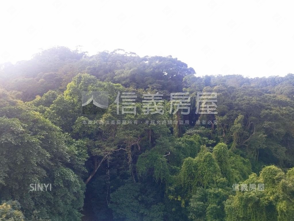 樹海美景三房車位房屋室內格局與周邊環境