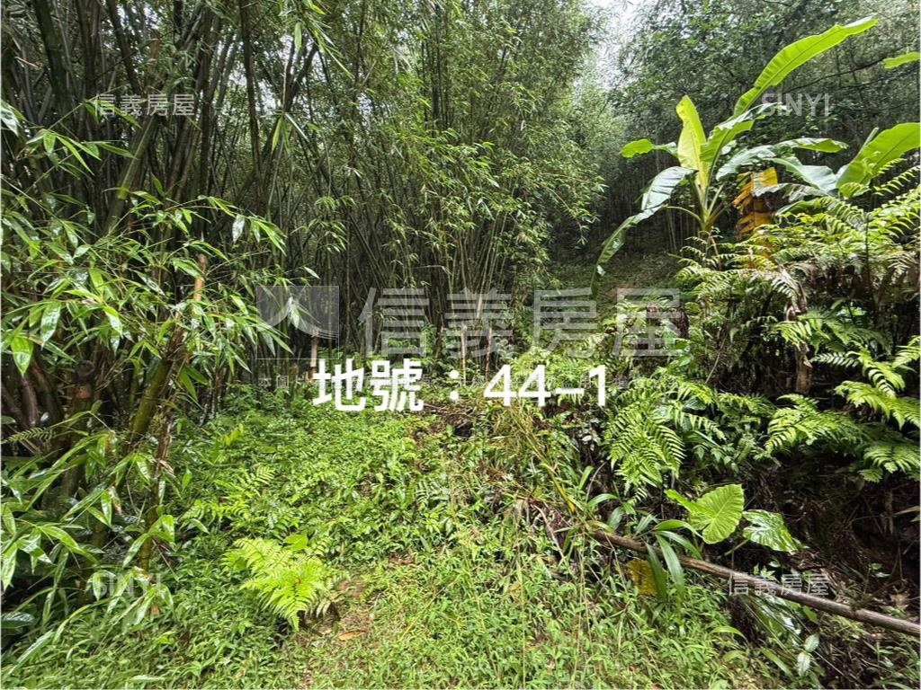 基隆七堵區千坪土地房屋室內格局與周邊環境