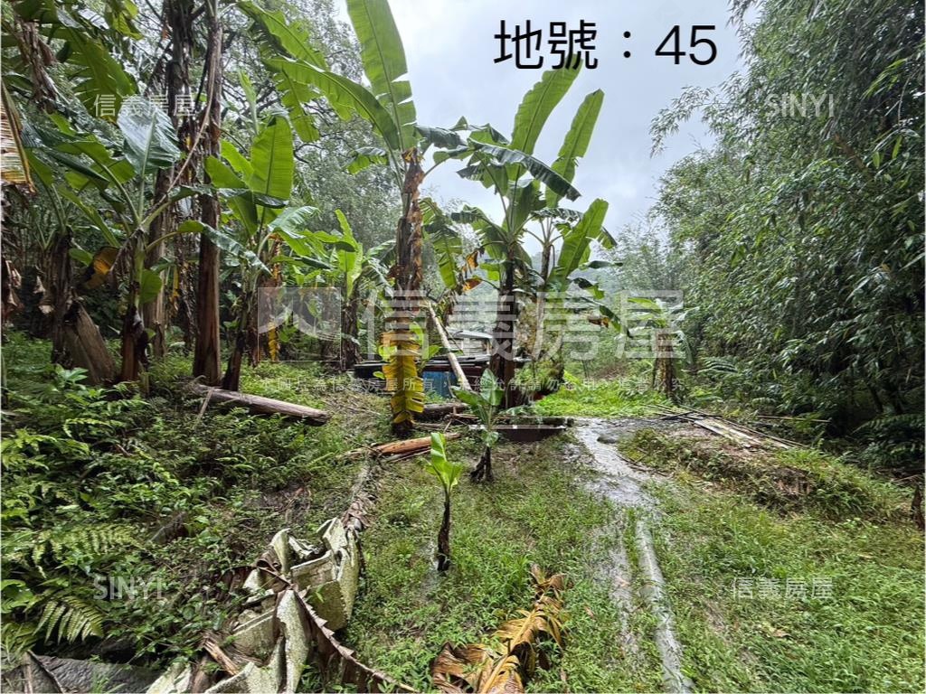 基隆七堵區千坪土地房屋室內格局與周邊環境