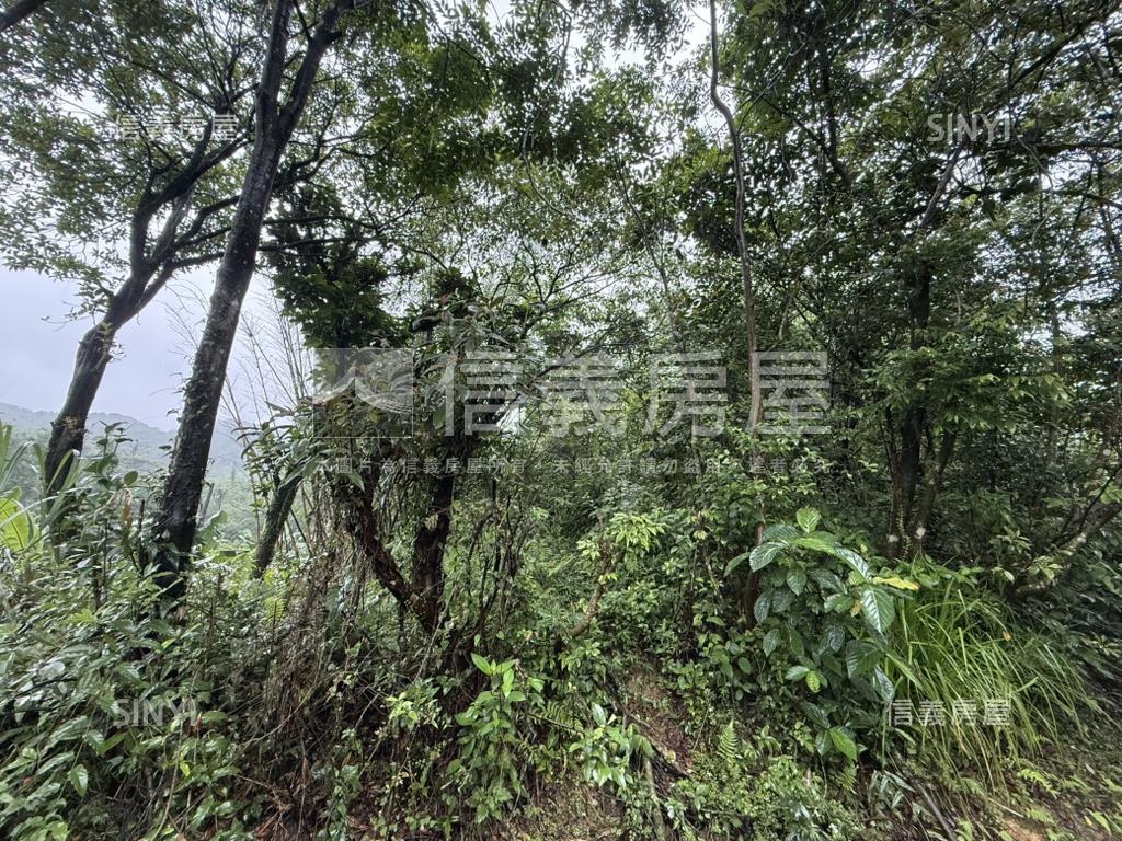 基隆七堵區千坪土地房屋室內格局與周邊環境