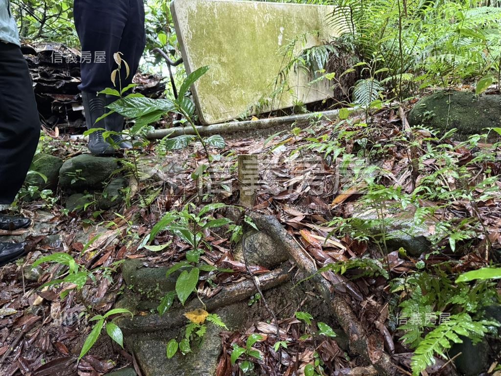 基隆七堵區千坪土地房屋室內格局與周邊環境