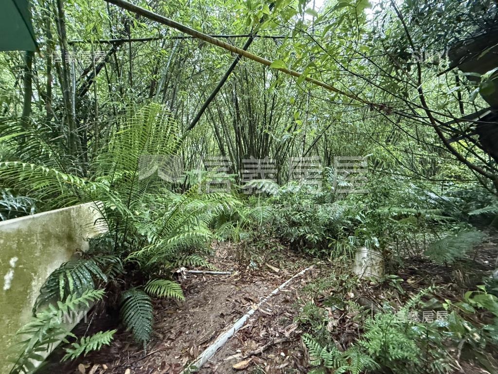 基隆七堵區千坪土地房屋室內格局與周邊環境