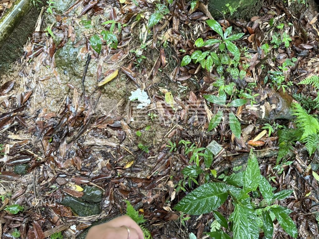 基隆七堵區千坪土地房屋室內格局與周邊環境