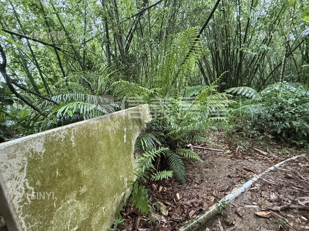 基隆七堵區千坪土地房屋室內格局與周邊環境