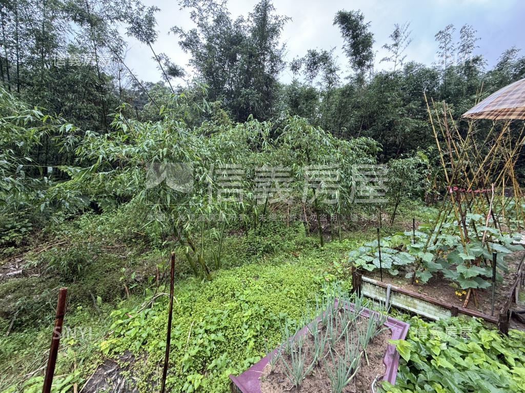 基隆七堵區千坪土地房屋室內格局與周邊環境