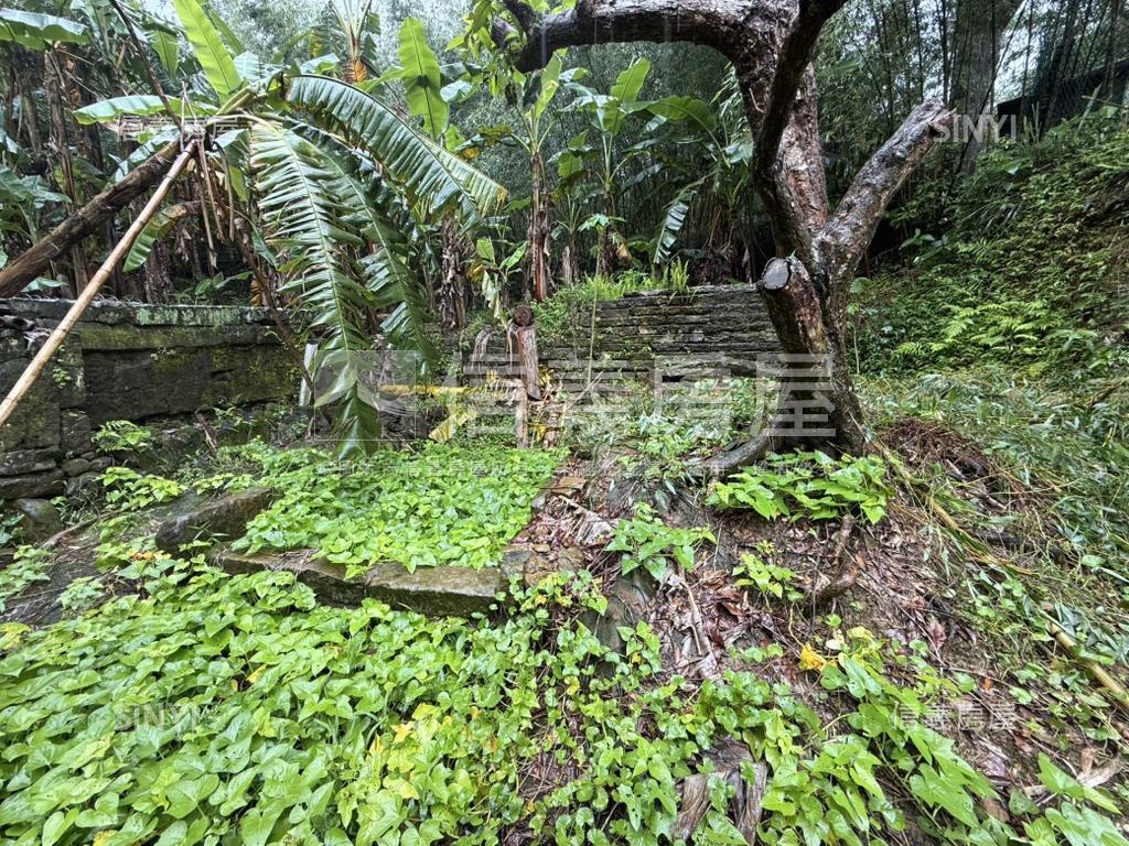 基隆七堵區千坪土地房屋室內格局與周邊環境