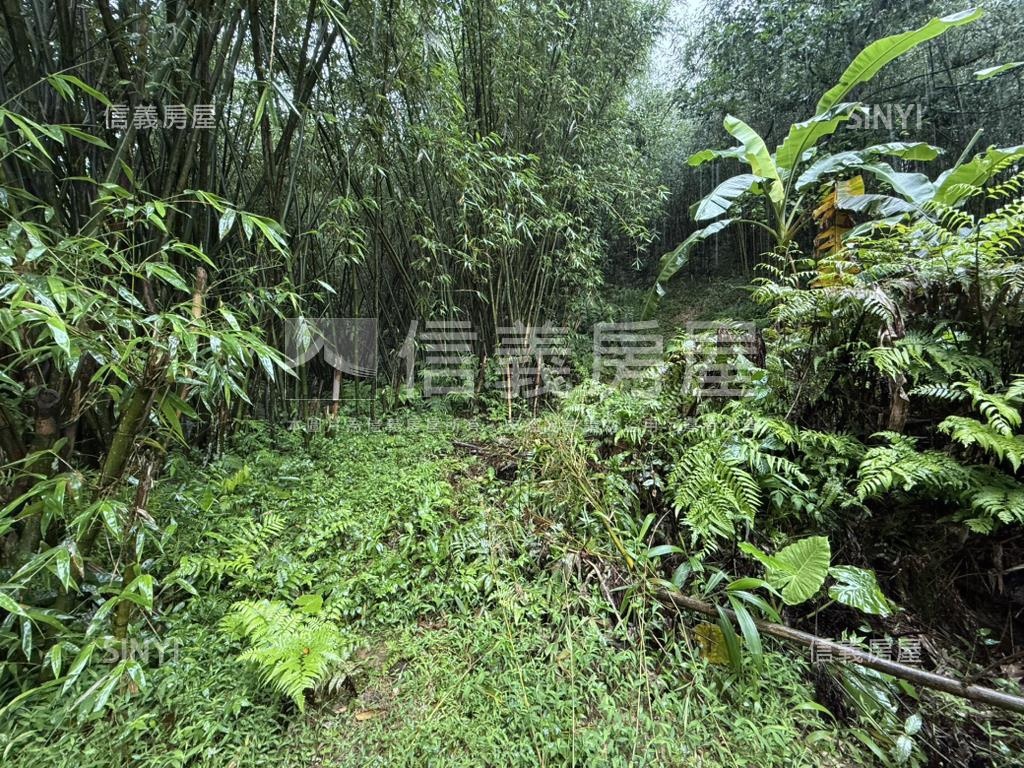 基隆七堵區千坪土地房屋室內格局與周邊環境