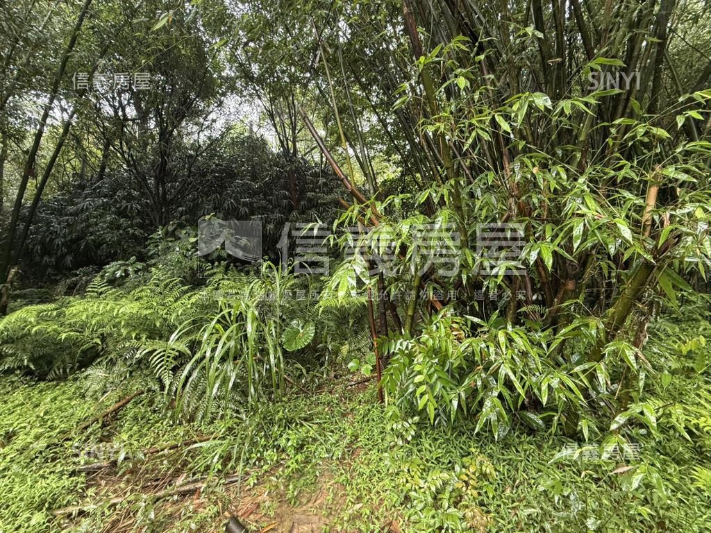 基隆七堵區千坪土地房屋室內格局與周邊環境
