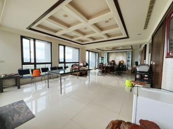 水墨白高樓視野豪邸５車位