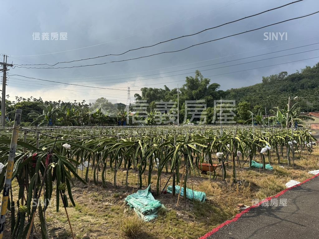 ★專任！集集臨路開心農場房屋室內格局與周邊環境