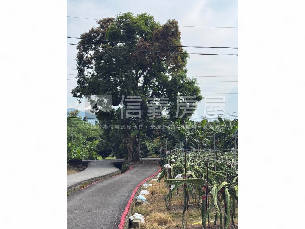 ★專任！集集臨路開心農場房屋室內格局與周邊環境